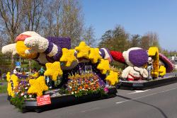 Bloemencorso  